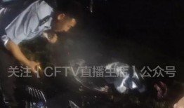 流萤死内鬼爆料视频,视频爆料背后的惊人真相